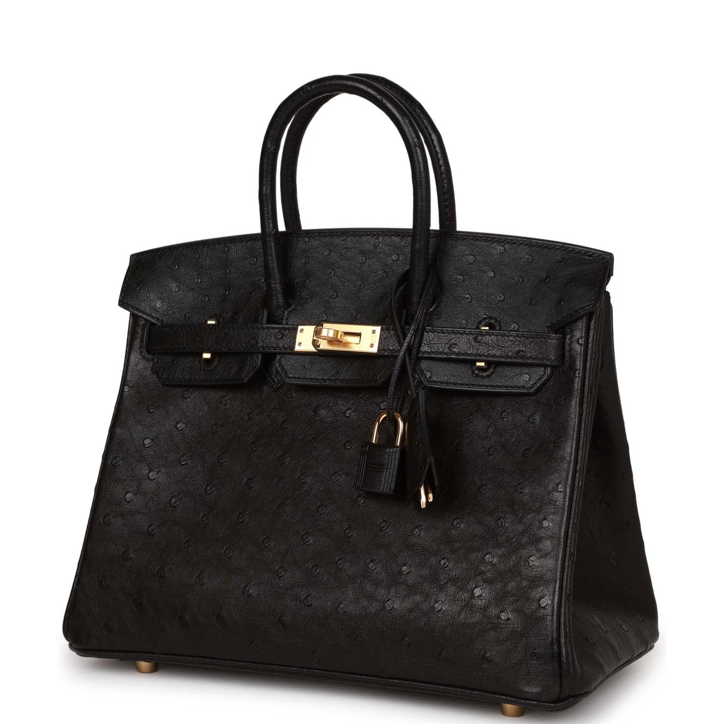 Luxury Hermes Birkin 25 Black Ostrich Gold Hardware
