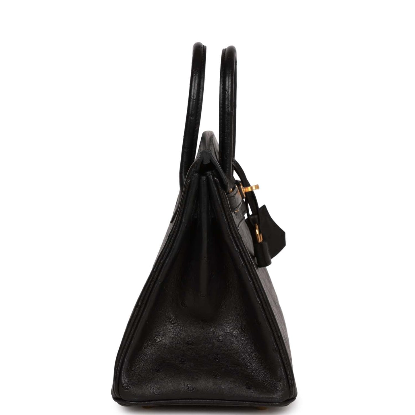 Luxury Hermes Birkin 25 Black Ostrich Gold Hardware