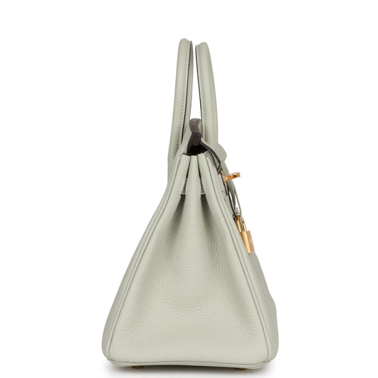 Luxury Hermes Birkin 25 Gris Neve Togo Gold Hardware