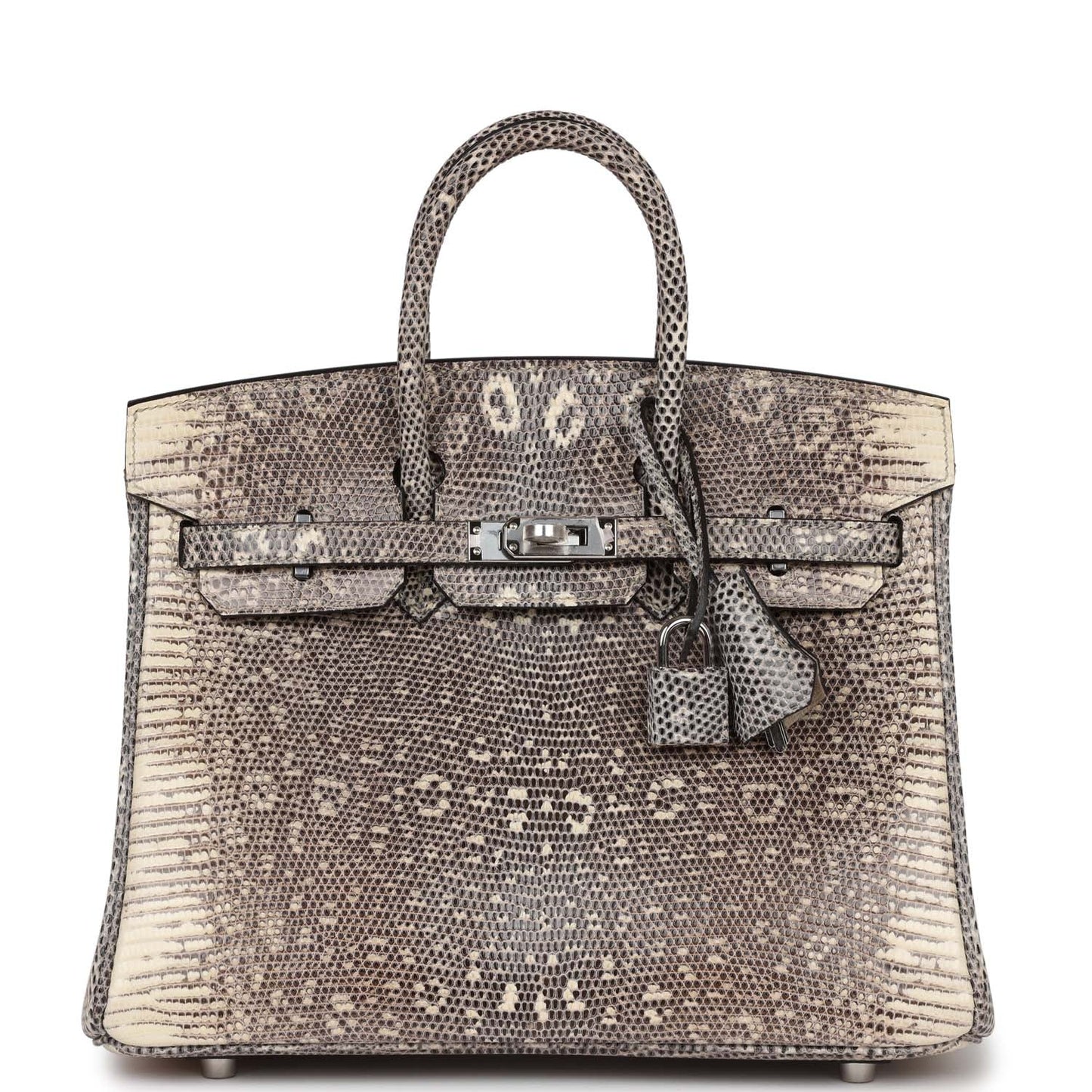 Luxury Hermes Birkin 25 Ombre Shiny Salvator Lizard Palladium Hardware