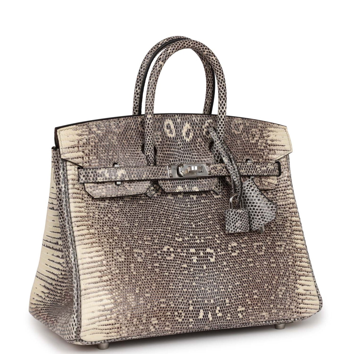Luxury Hermes Birkin 25 Ombre Shiny Salvator Lizard Palladium Hardware