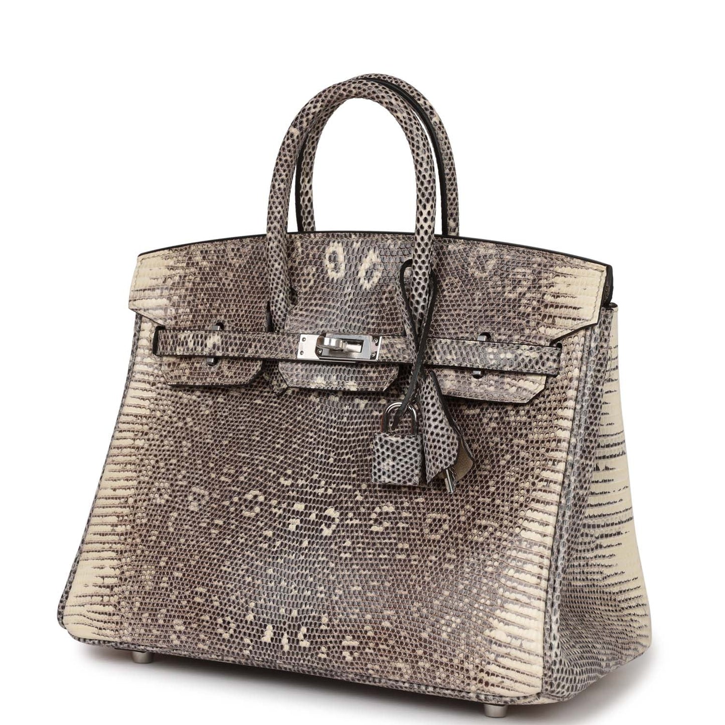 Luxury Hermes Birkin 25 Ombre Shiny Salvator Lizard Palladium Hardware