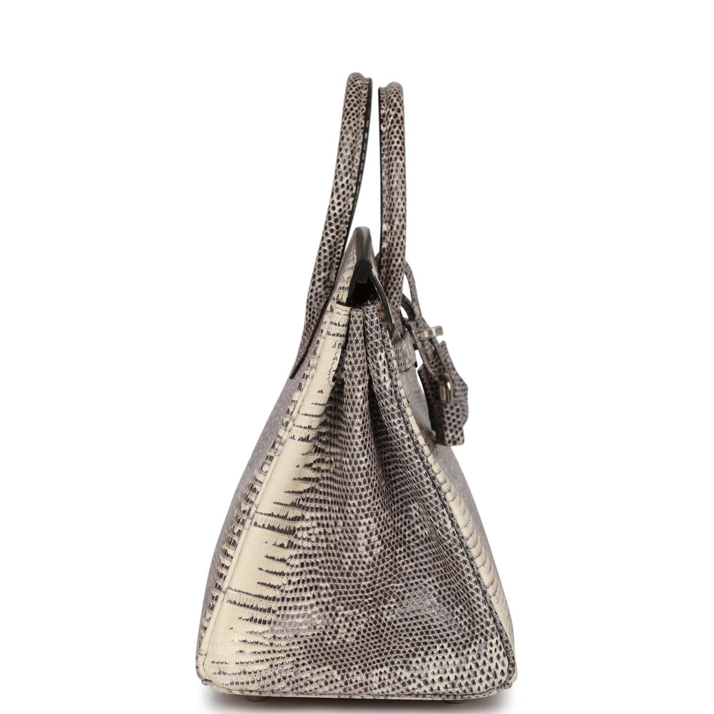 Luxury Hermes Birkin 25 Ombre Shiny Salvator Lizard Palladium Hardware