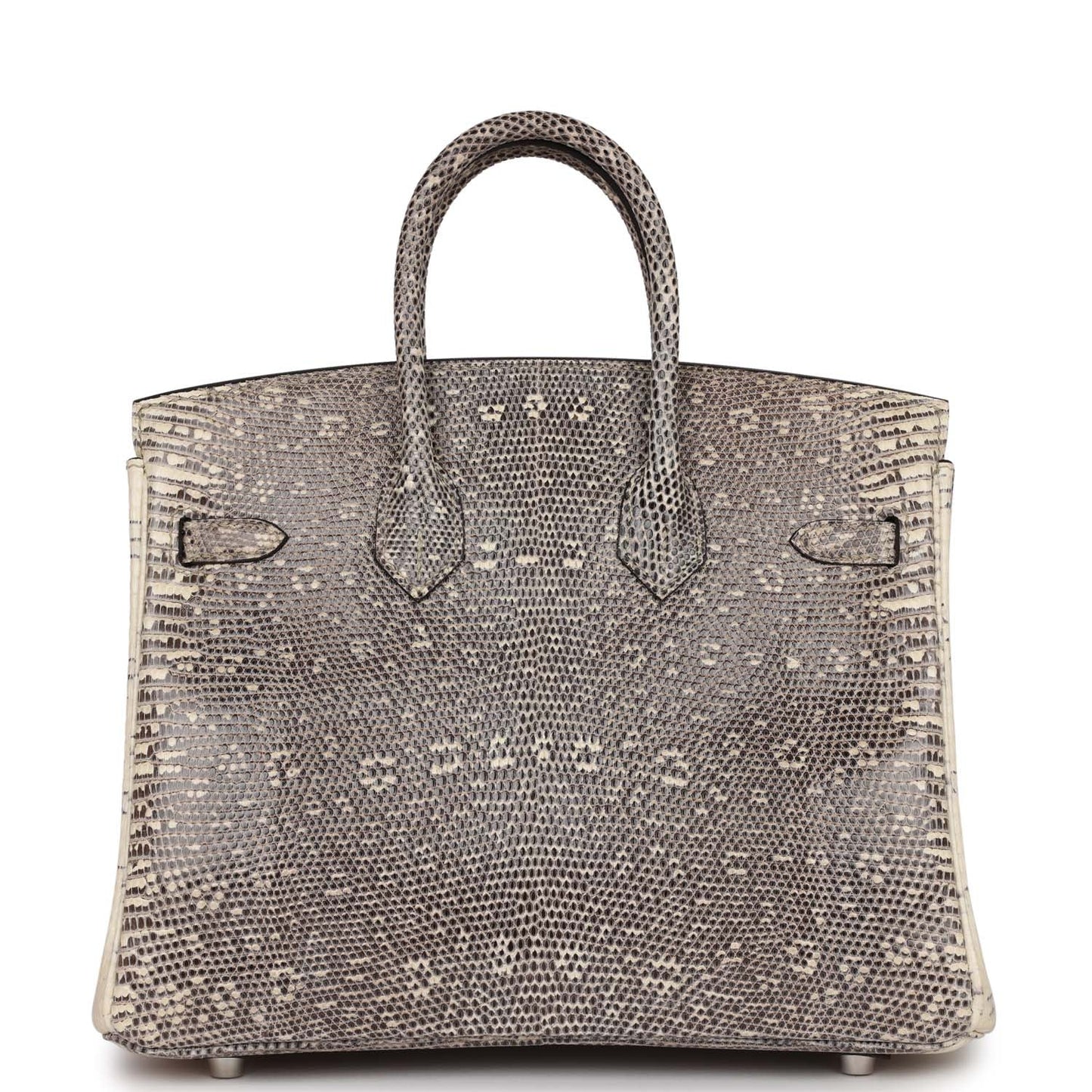 Luxury Hermes Birkin 25 Ombre Shiny Salvator Lizard Palladium Hardware