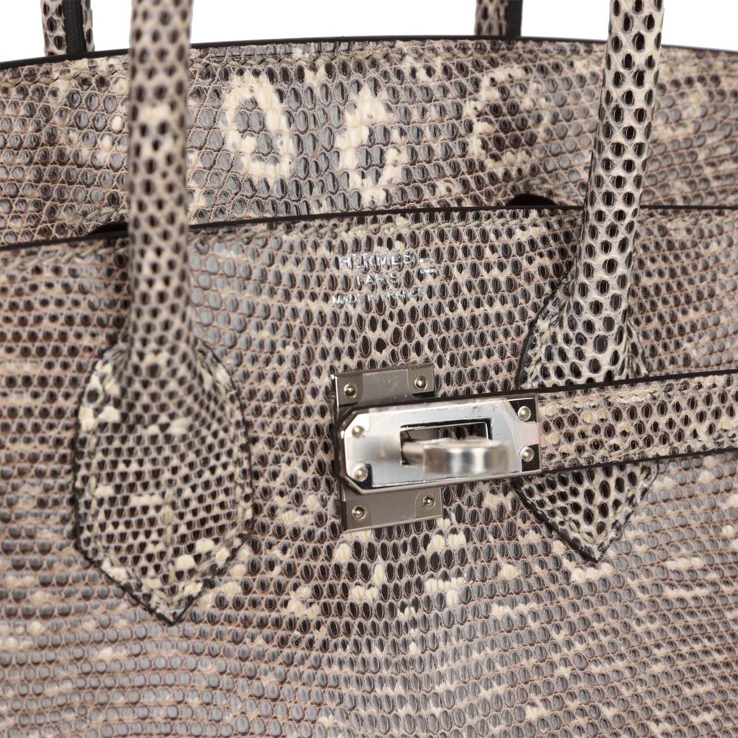 Luxury Hermes Birkin 25 Ombre Shiny Salvator Lizard Palladium Hardware