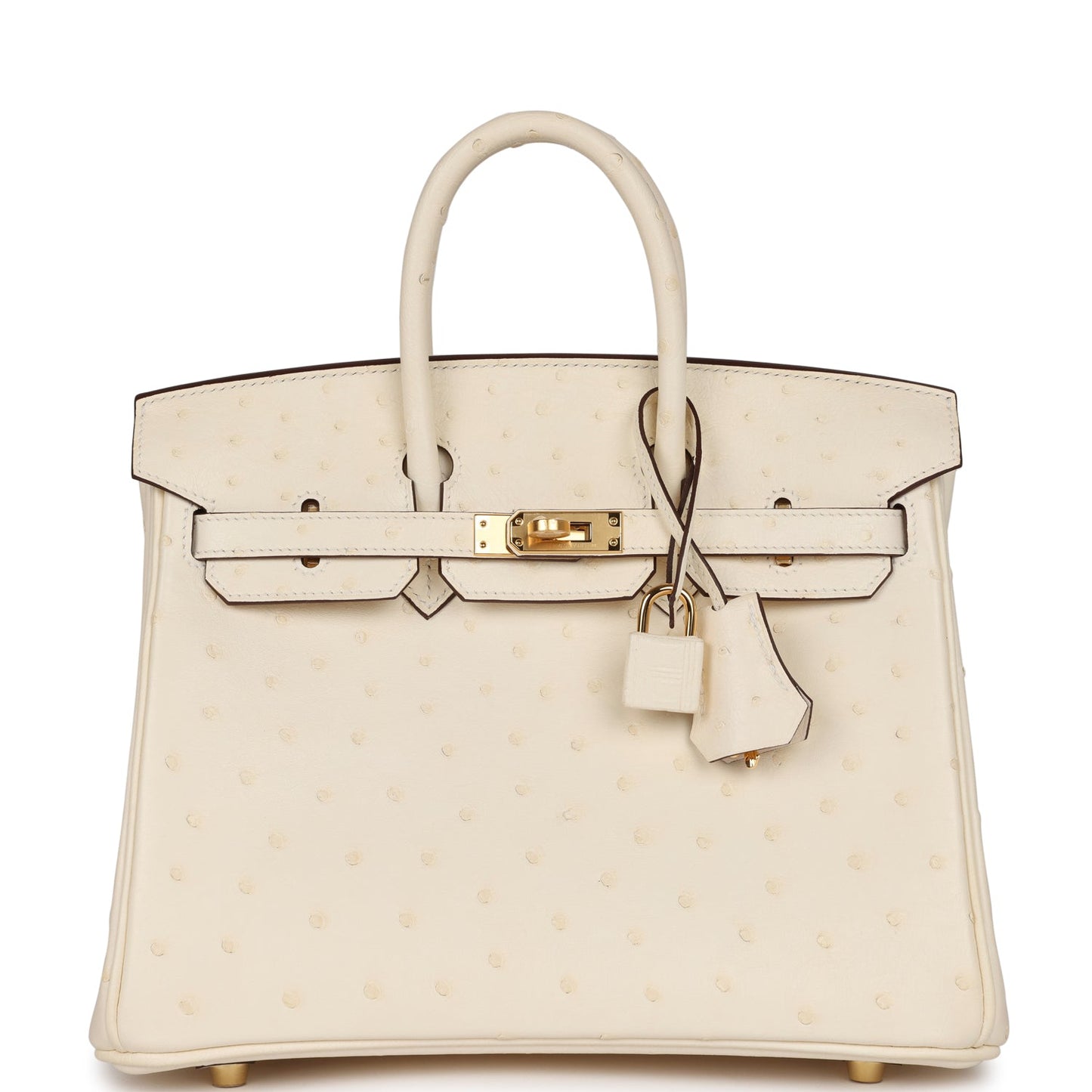 Luxury Hermes Birkin 25 Nata Ostrich Gold Hardware