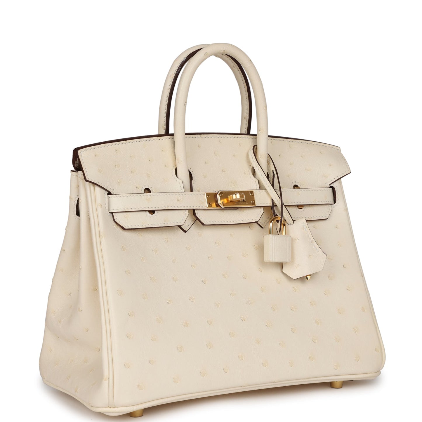 Luxury Hermes Birkin 25 Nata Ostrich Gold Hardware