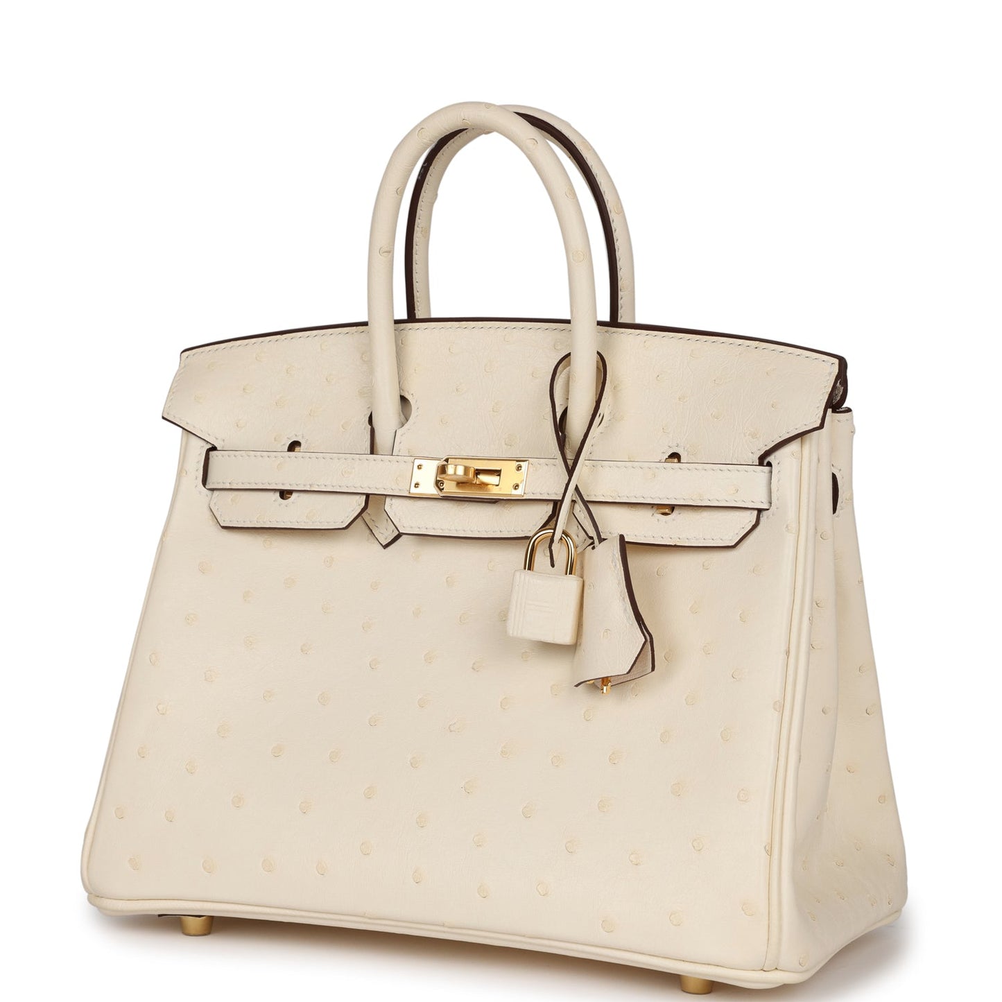 Luxury Hermes Birkin 25 Nata Ostrich Gold Hardware