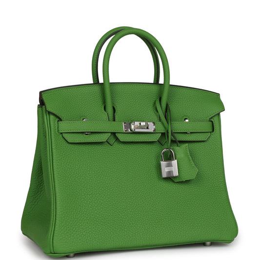Luxury Hermes Birkin 25 Vert Yucca Togo Palladium Hardware