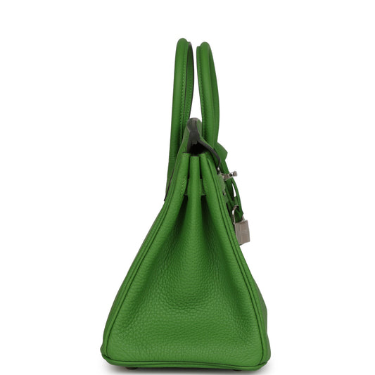 Luxury Hermes Birkin 25 Vert Yucca Togo Palladium Hardware