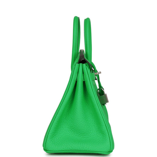Luxury Hermes Birkin 25 Vert Comics Togo Palladium Hardware