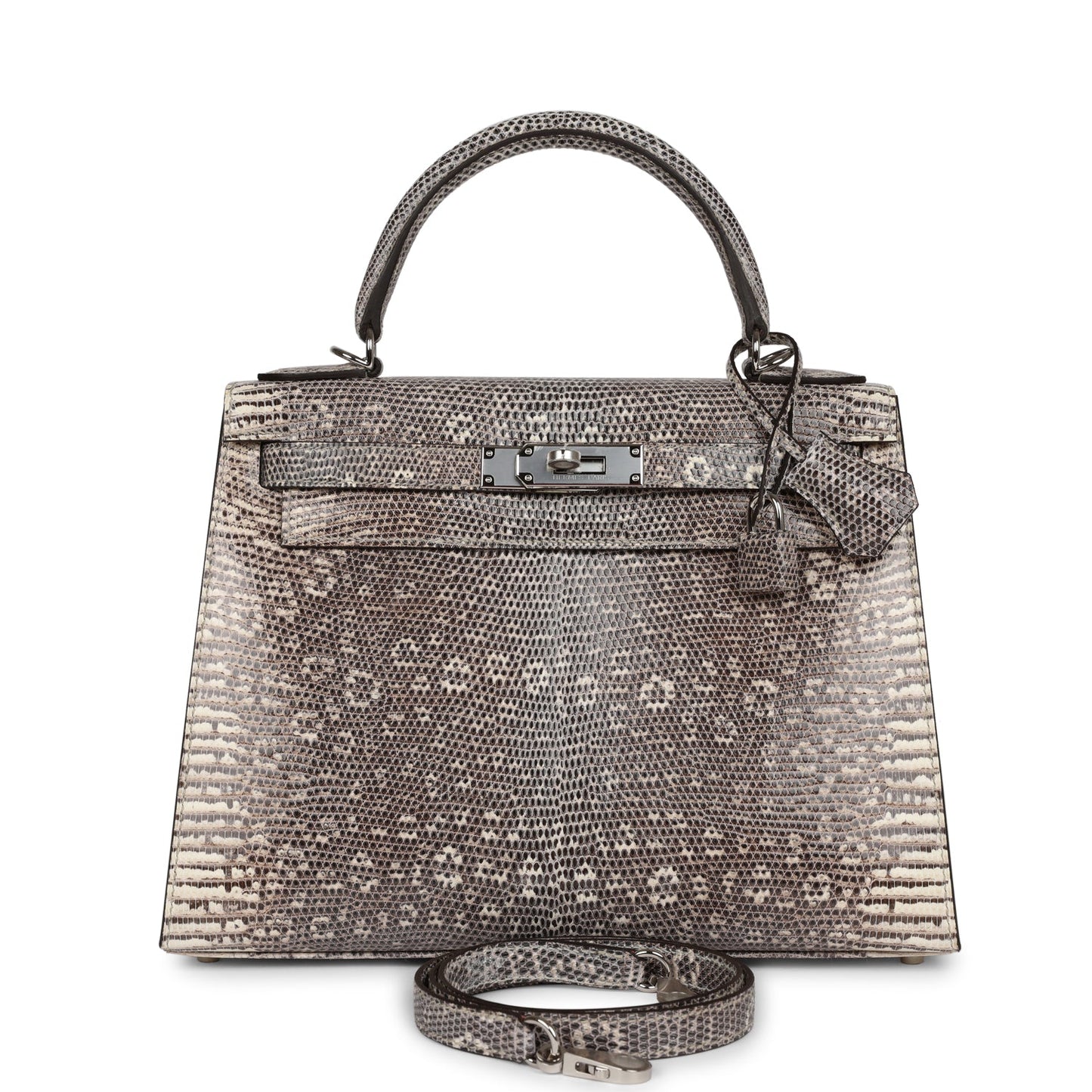 Luxury Hermes Kelly Sellier 28 Ombre Veranus Salvator Lizard Palladium Hardware