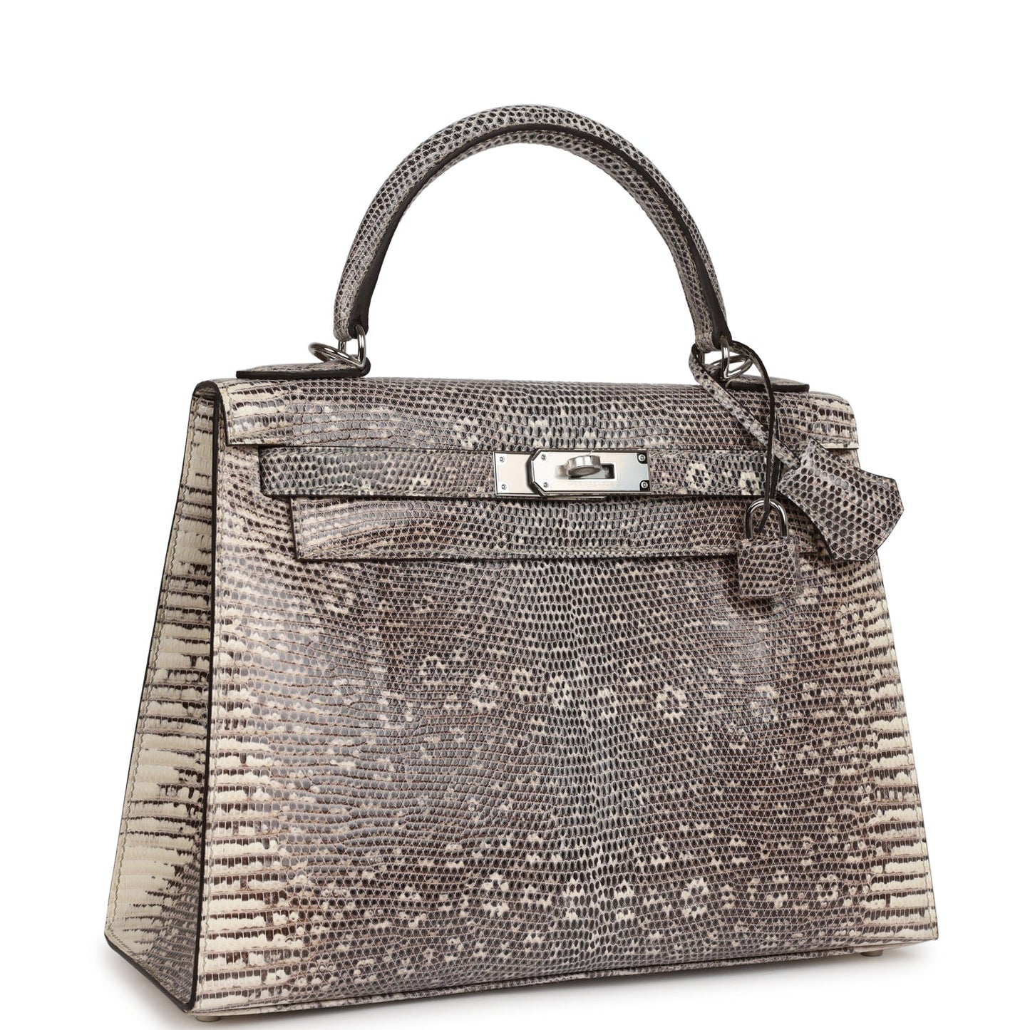 Luxury Hermes Kelly Sellier 28 Ombre Veranus Salvator Lizard Palladium Hardware