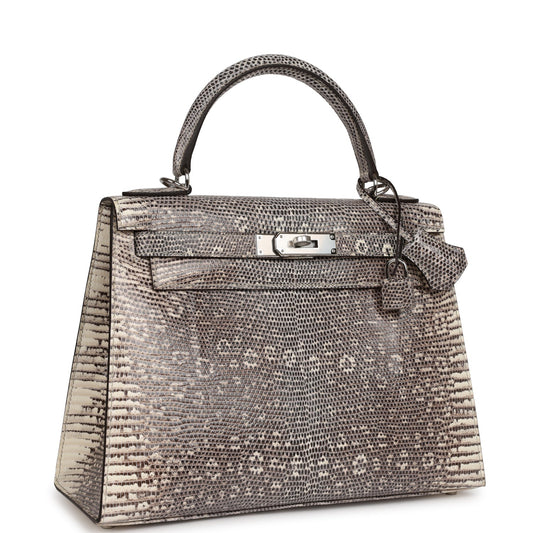 Luxury Hermes Kelly Sellier 28 Ombre Veranus Salvator Lizard Palladium Hardware