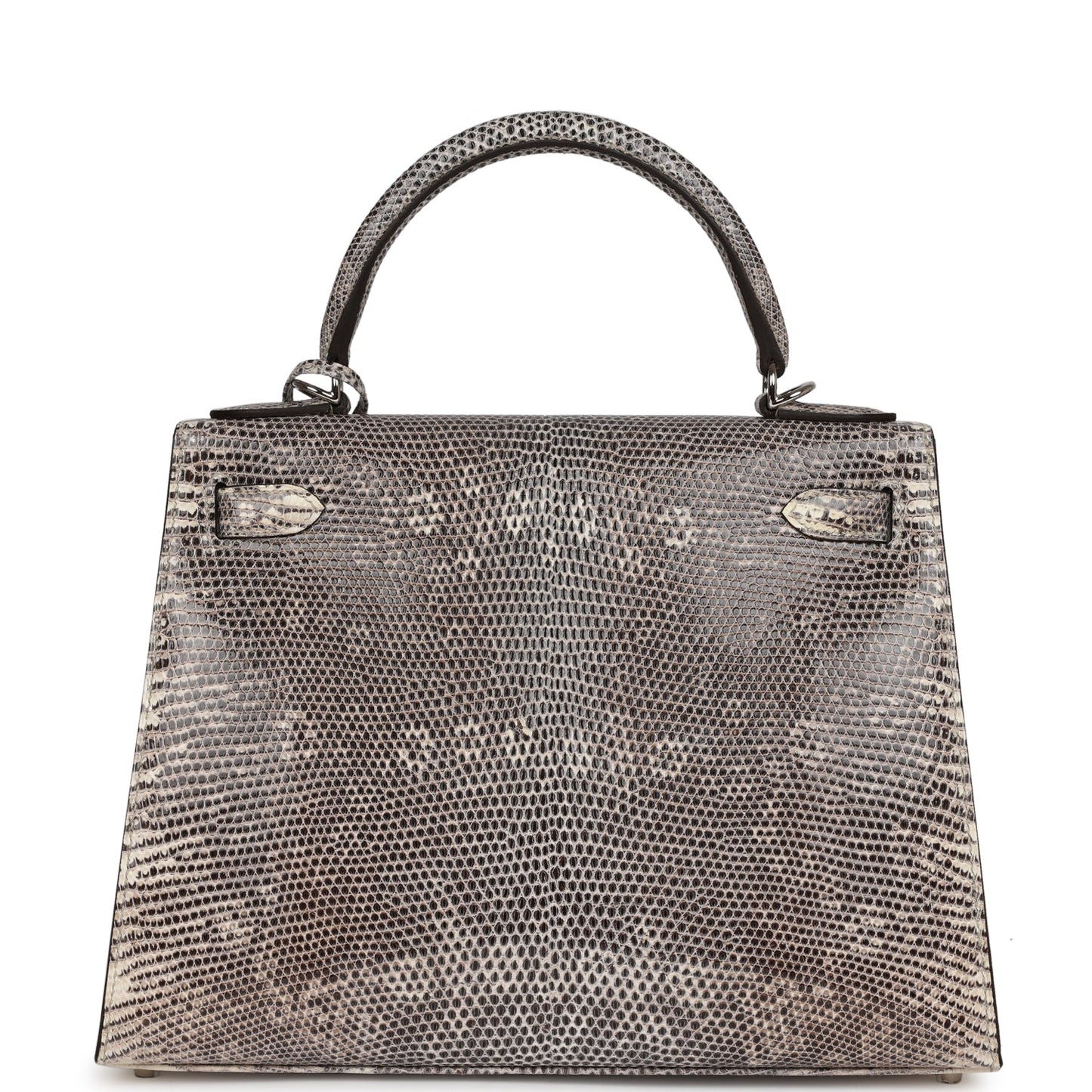 Luxury Hermes Kelly Sellier 28 Ombre Veranus Salvator Lizard Palladium Hardware