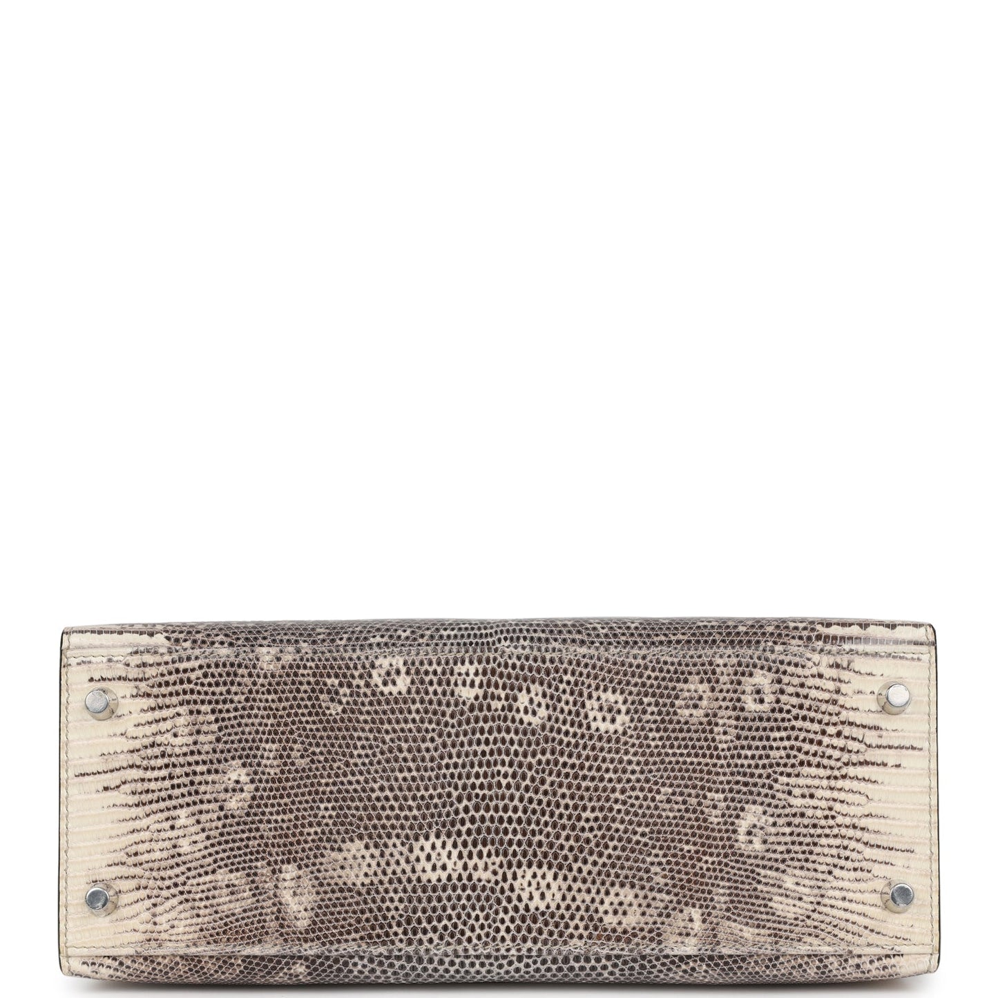 Luxury Hermes Kelly Sellier 28 Ombre Veranus Salvator Lizard Palladium Hardware