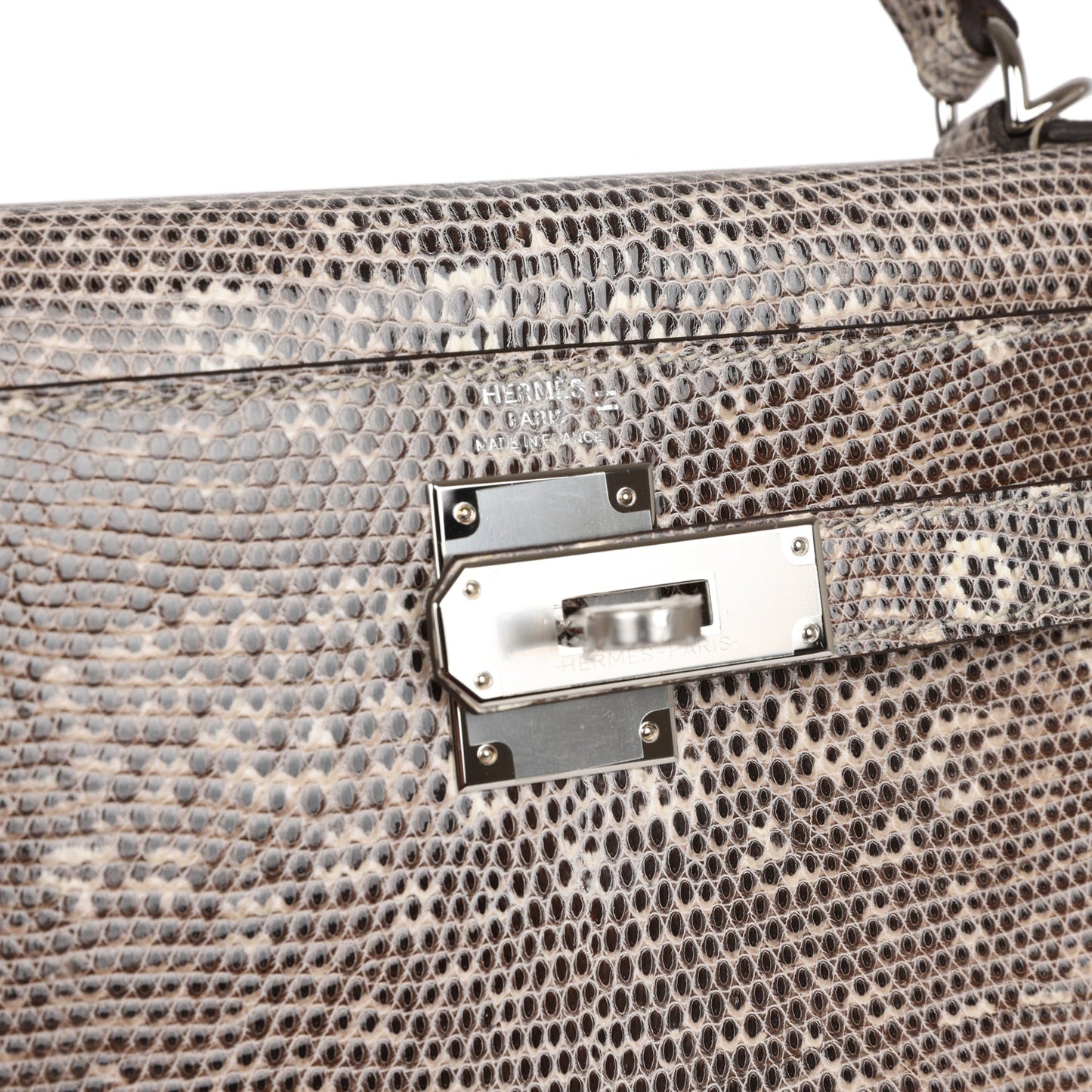 Luxury Hermes Kelly Sellier 28 Ombre Veranus Salvator Lizard Palladium Hardware