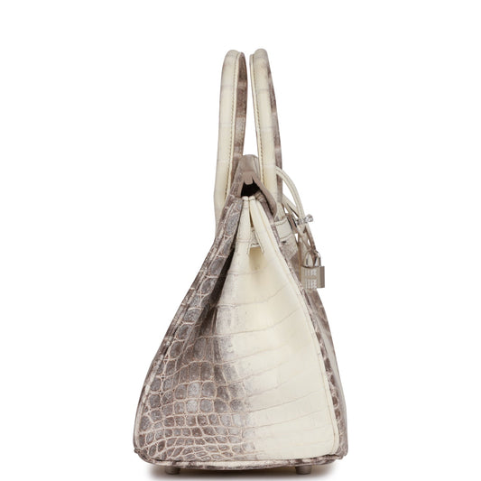Luxury Hermes Birkin 25 Himalaya Niloticus Crocodile Diamond Encrusted Hardware