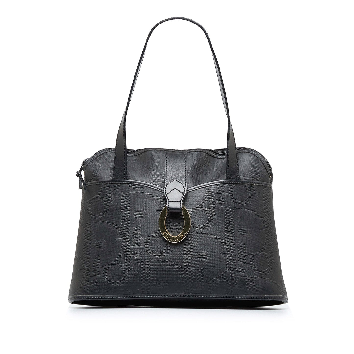 Luxury DiorTrotter Tote Bag
