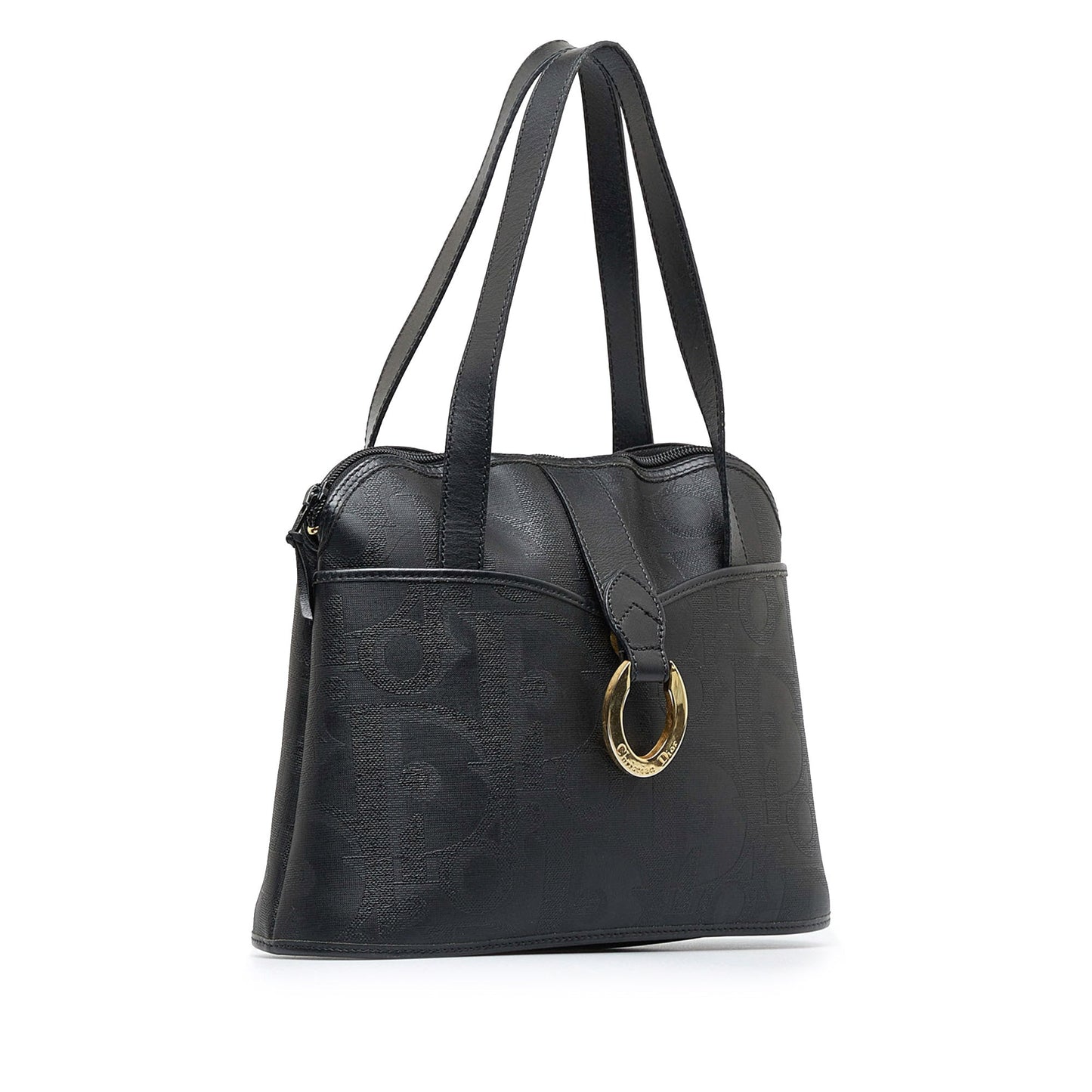 Luxury DiorTrotter Tote Bag