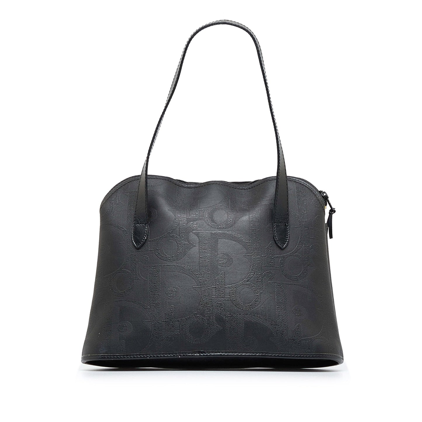 Luxury DiorTrotter Tote Bag