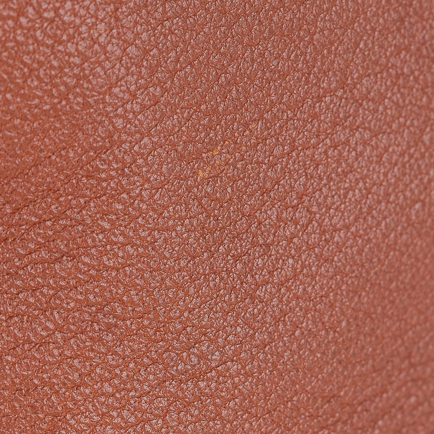 Luxury Hermes Yeoh Bag (SHG-34207)
