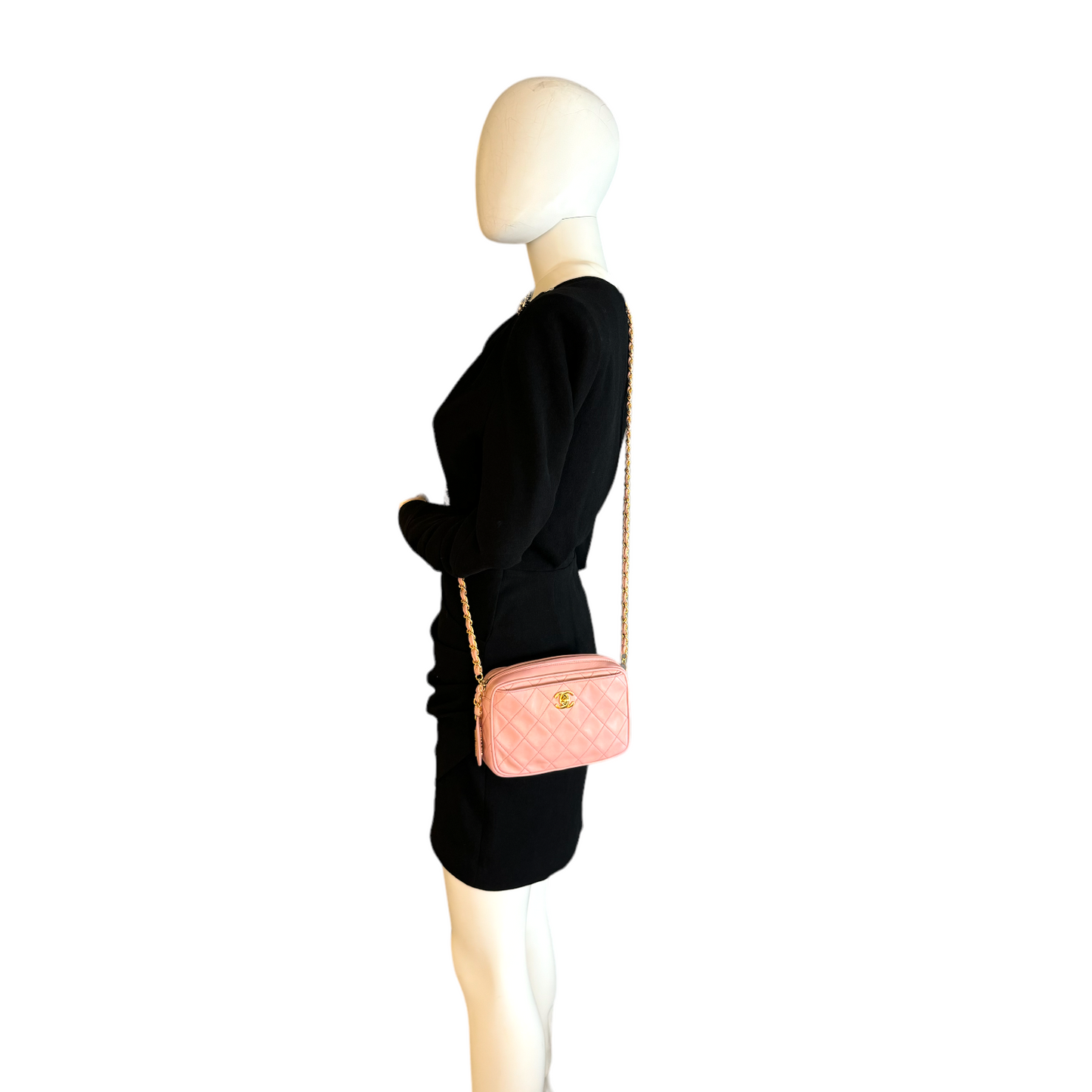 Luxury Chanel Camera Bag Small Pink Lambskin Gold