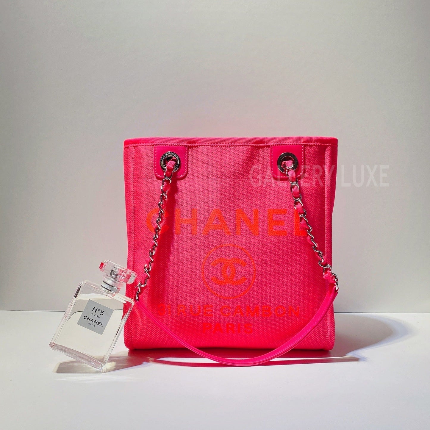 No.3119-Chanel Small Deauville Tote Bag (Brand New / 全新)