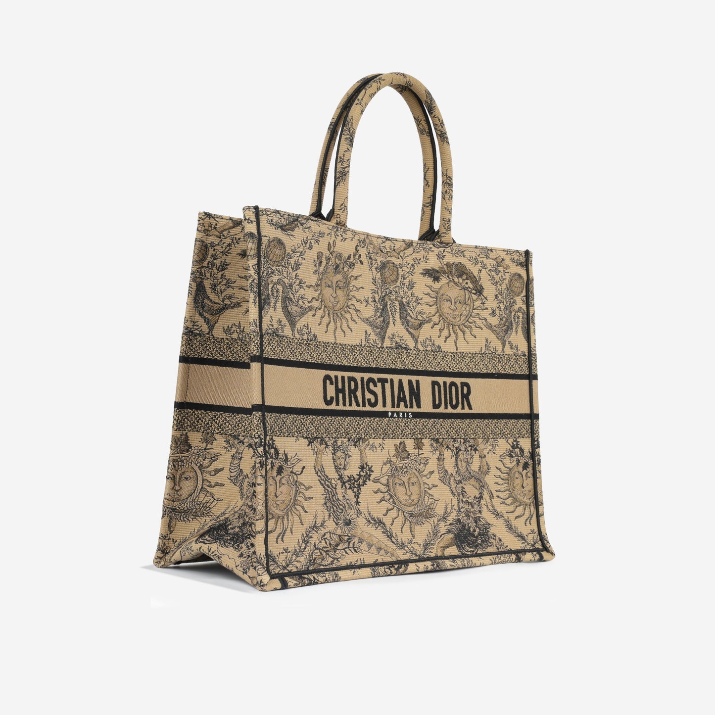 Luxury Dior Large Book Tote