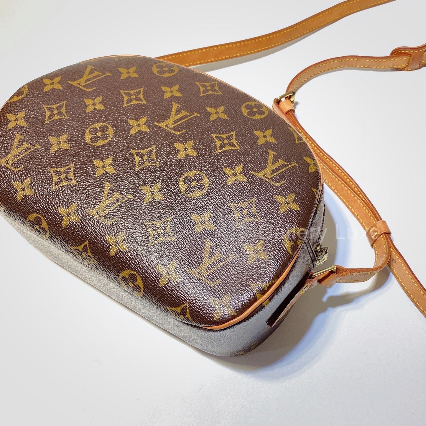 No.2734-Louis Vuitton Blois Crossbody Bag