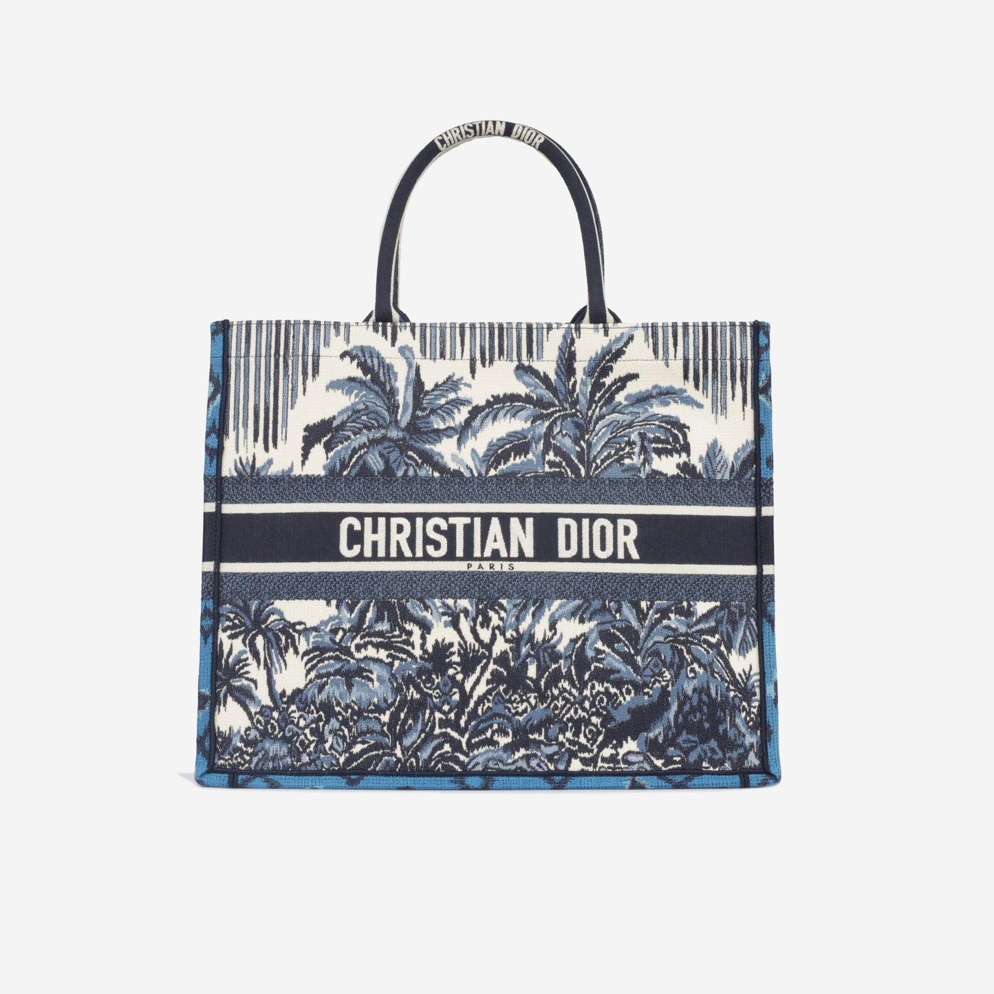 Luxury Dior Large Book Tote