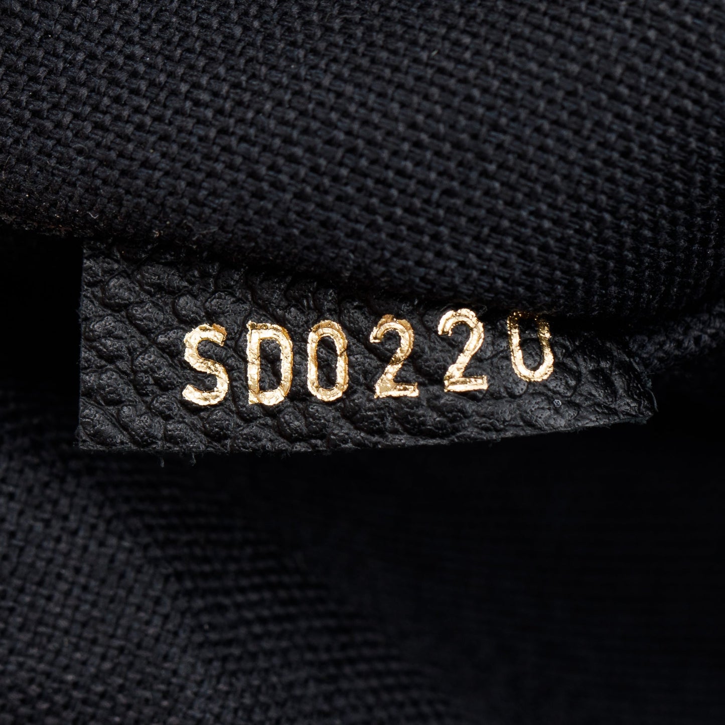 Louis Vuitton 2020 Black Monogram Empreinte Felicie Pochette Bag