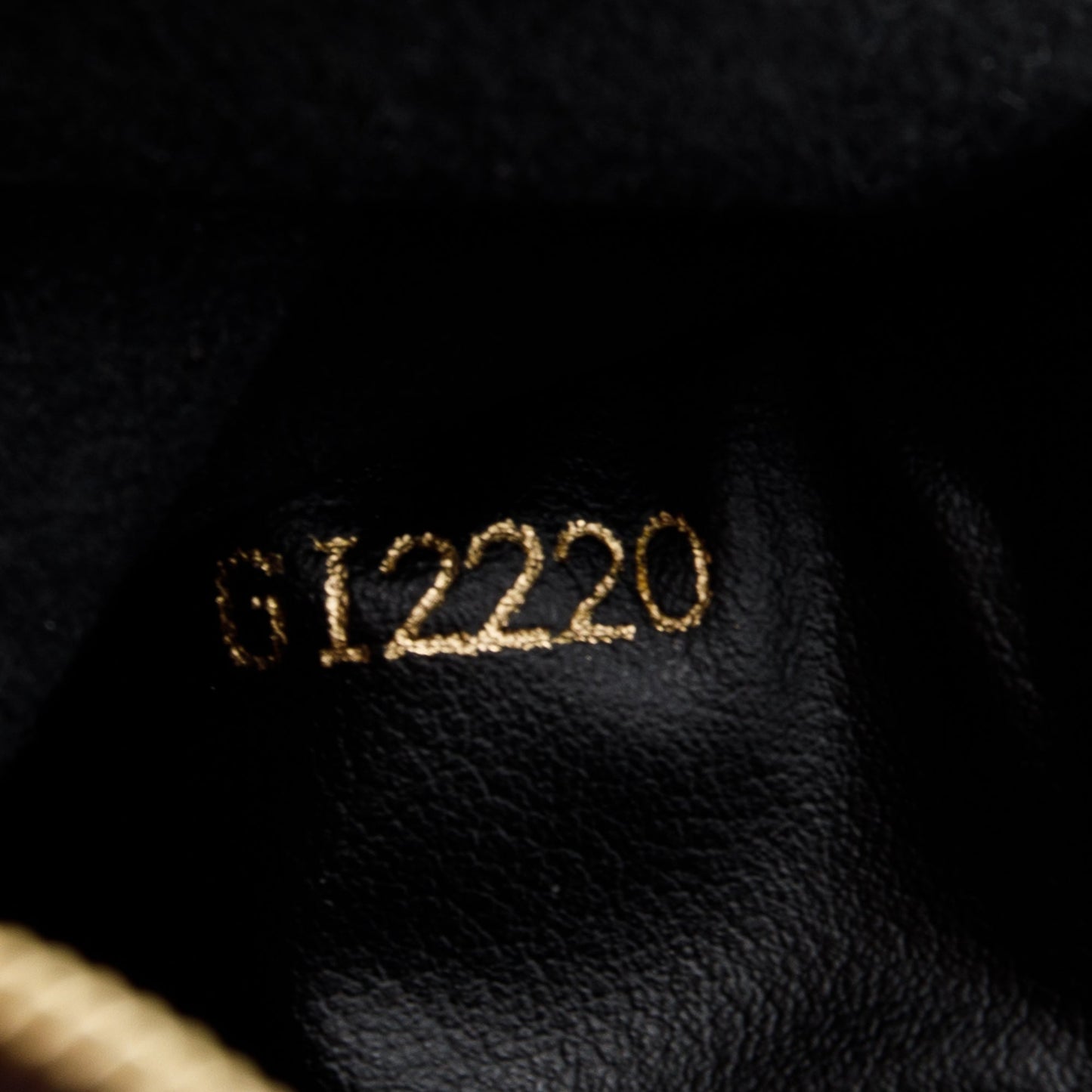 Louis Vuitton 2020 Monogram Double Zip Pochette