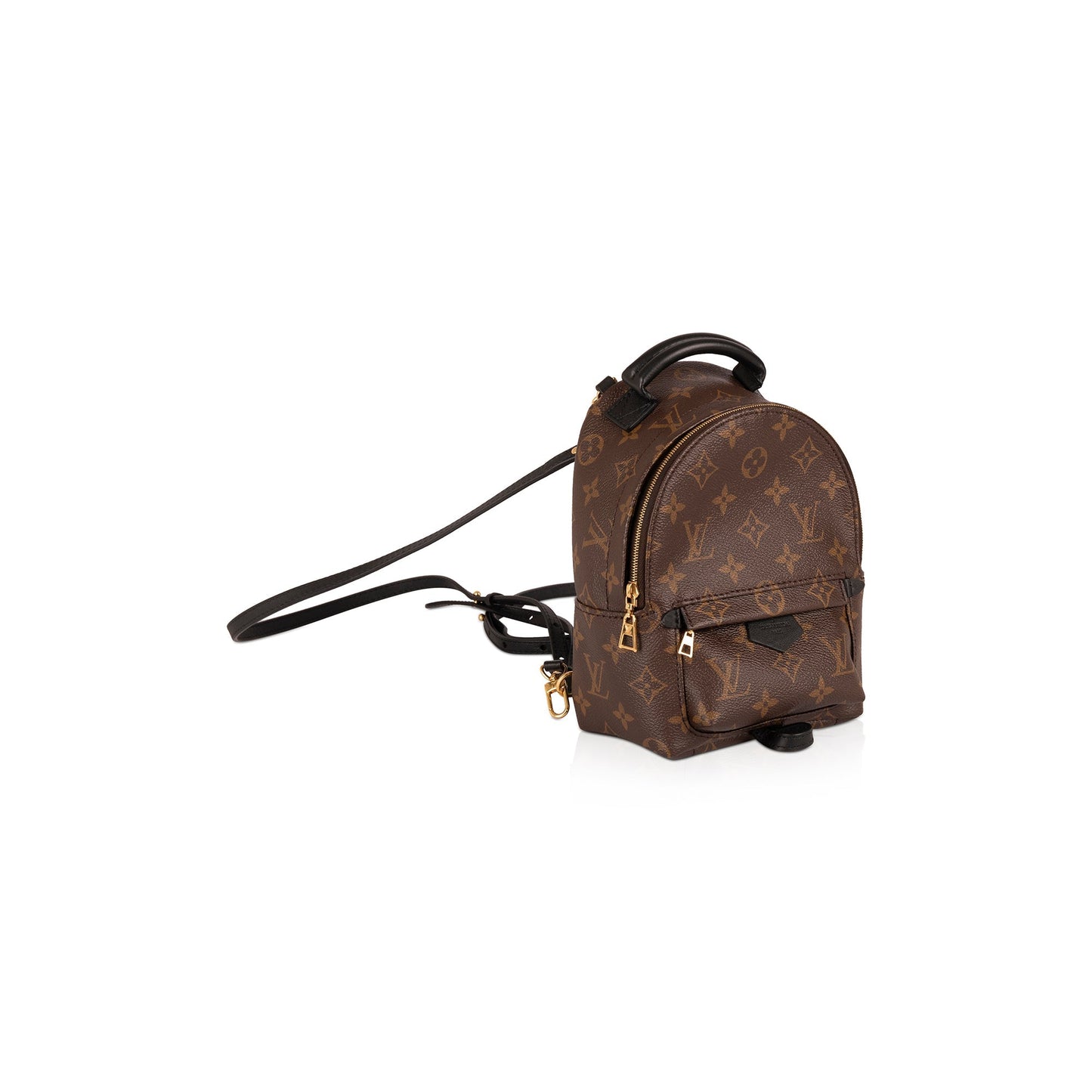 Louis Vuitton 2020 Monogram Palm Springs Mini Backpack