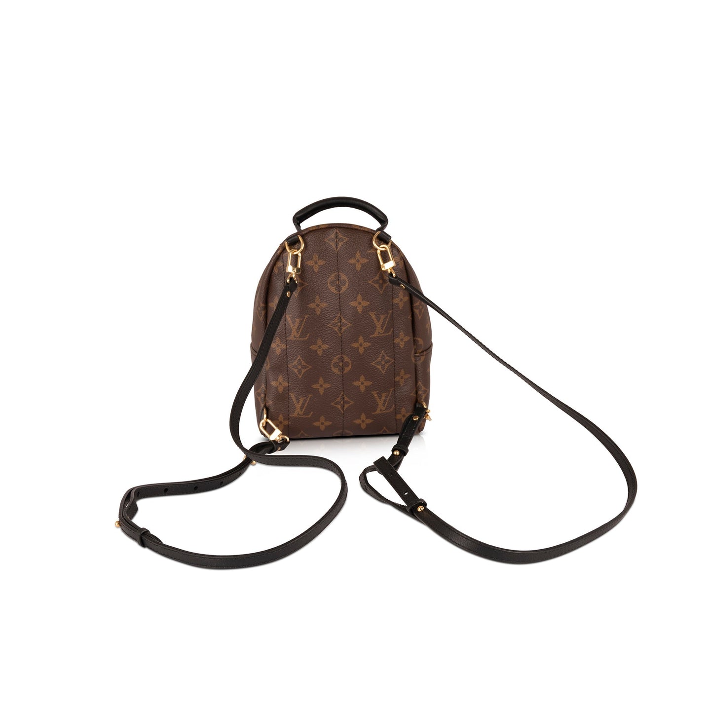 Louis Vuitton 2020 Monogram Palm Springs Mini Backpack