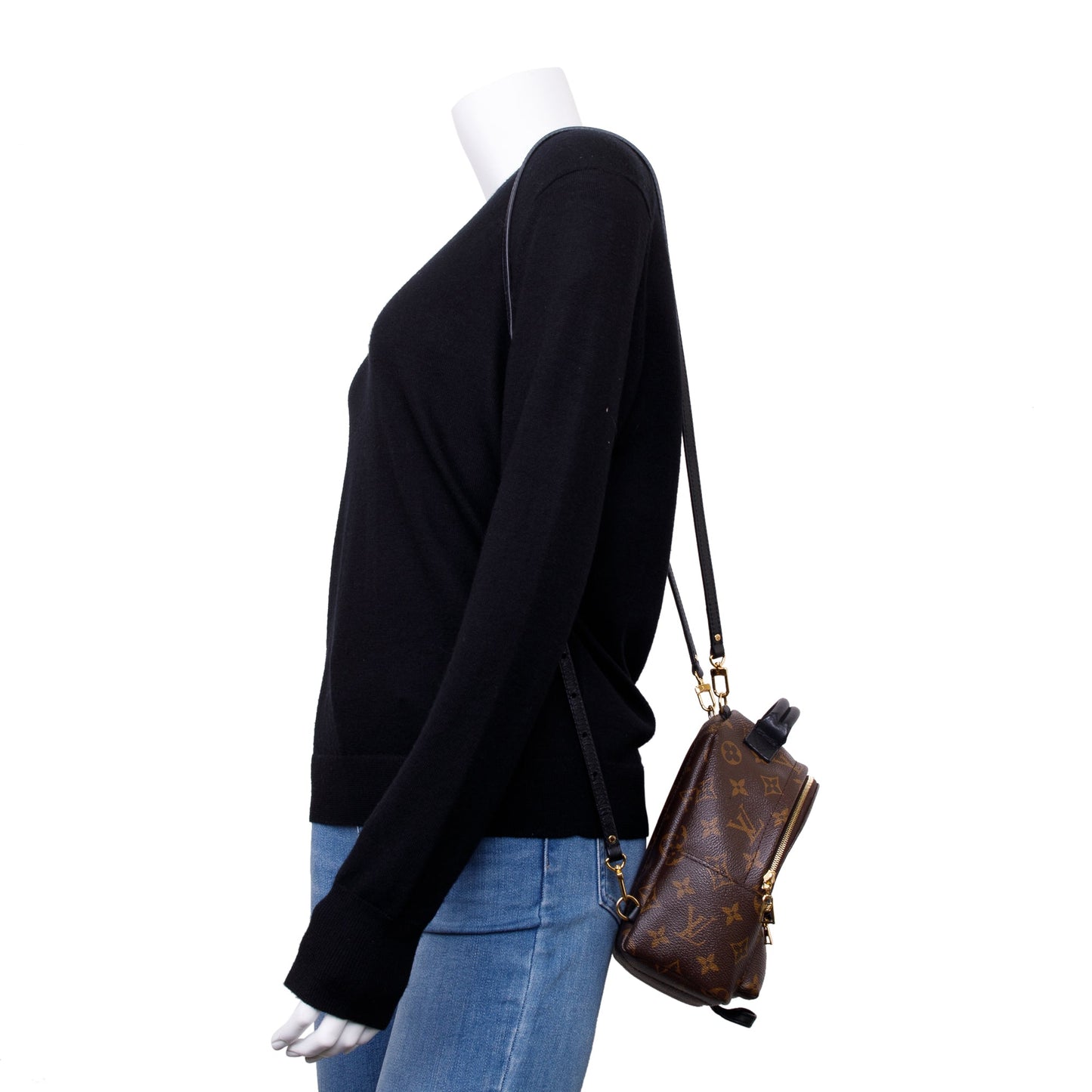 Louis Vuitton 2020 Monogram Palm Springs Mini Backpack