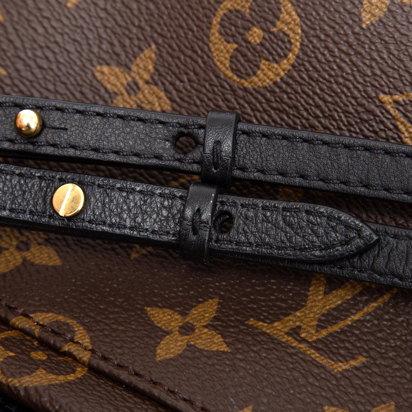 Louis Vuitton 2020 Monogram Palm Springs Mini Backpack