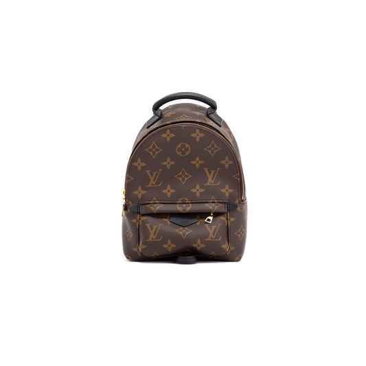 Louis Vuitton 2020 Monogram Palm Springs Mini Backpack