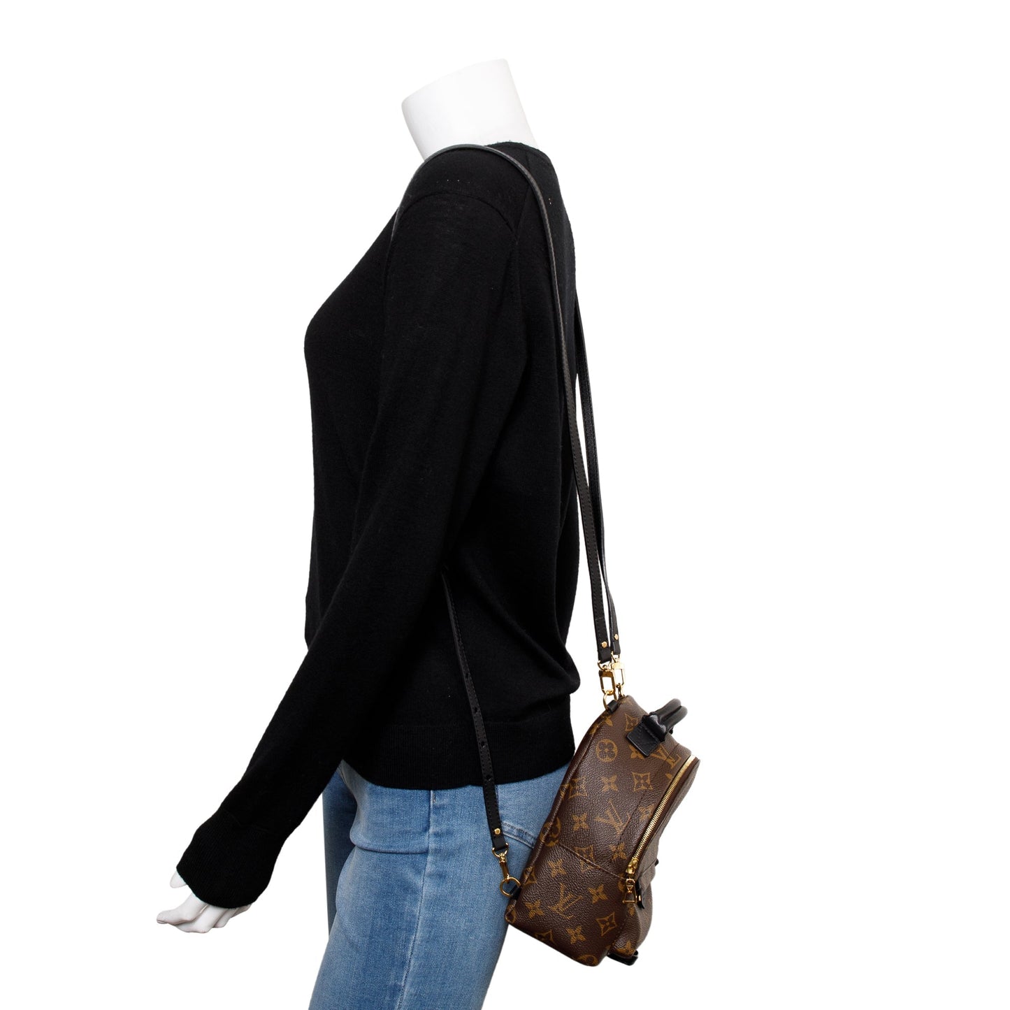 Louis Vuitton 2020 Monogram Palm Springs Mini Backpack