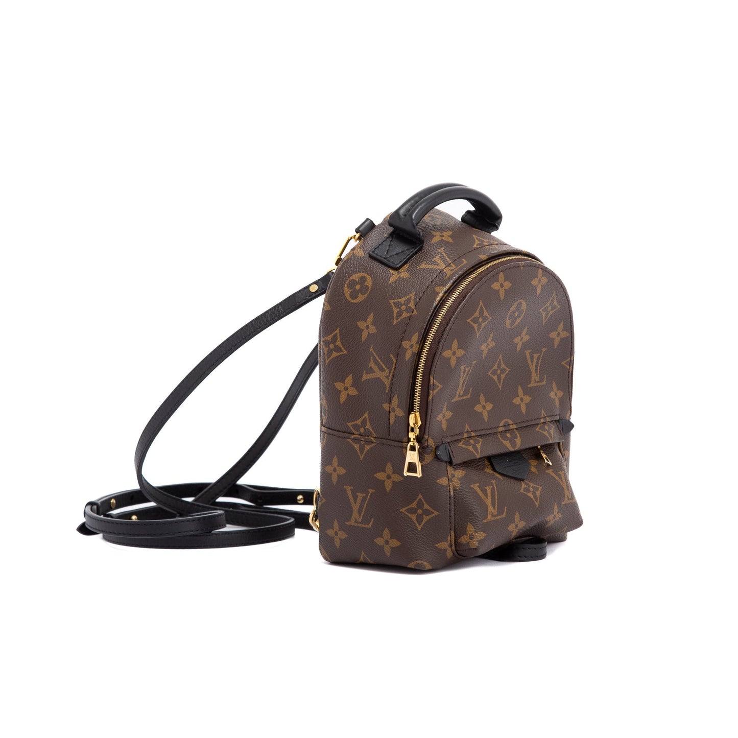 Louis Vuitton 2020 Monogram Palm Springs Mini Backpack