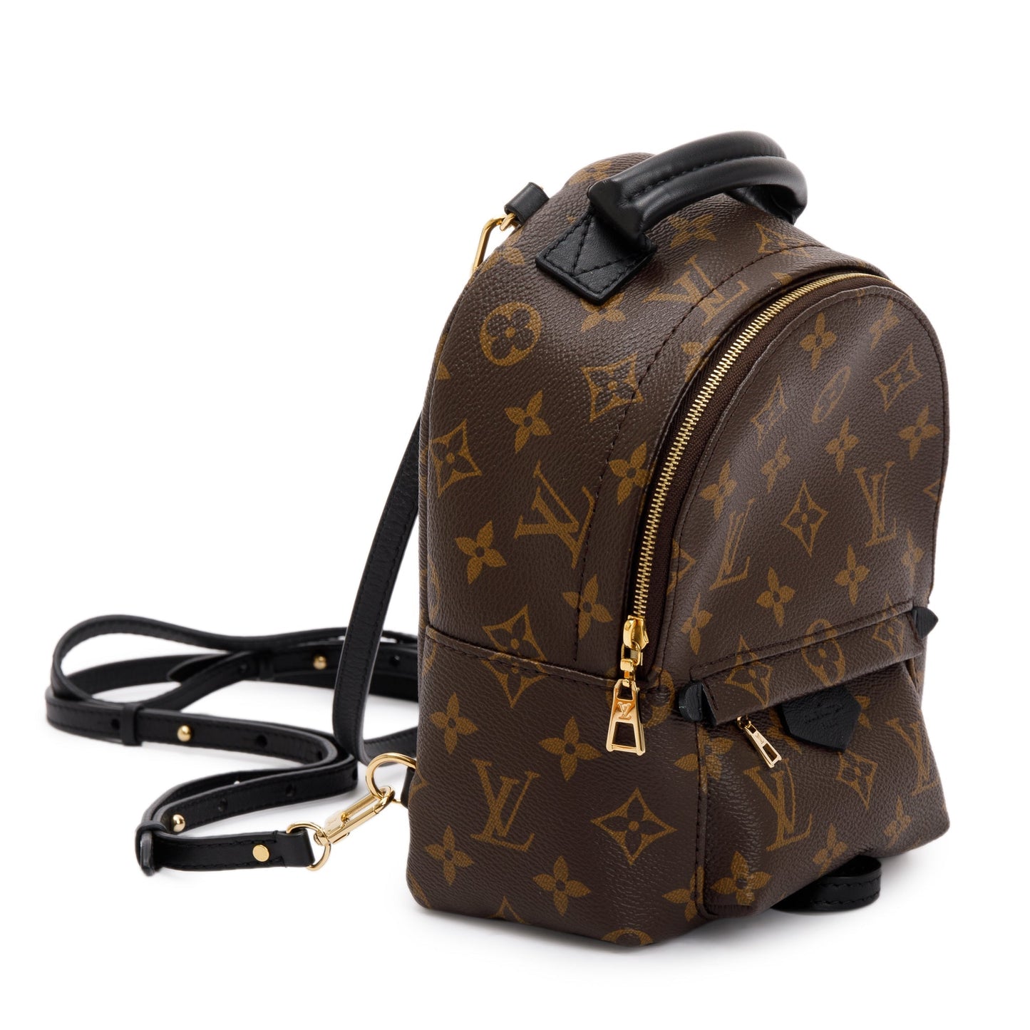 Louis Vuitton 2020 Monogram Palm Springs Mini Backpack