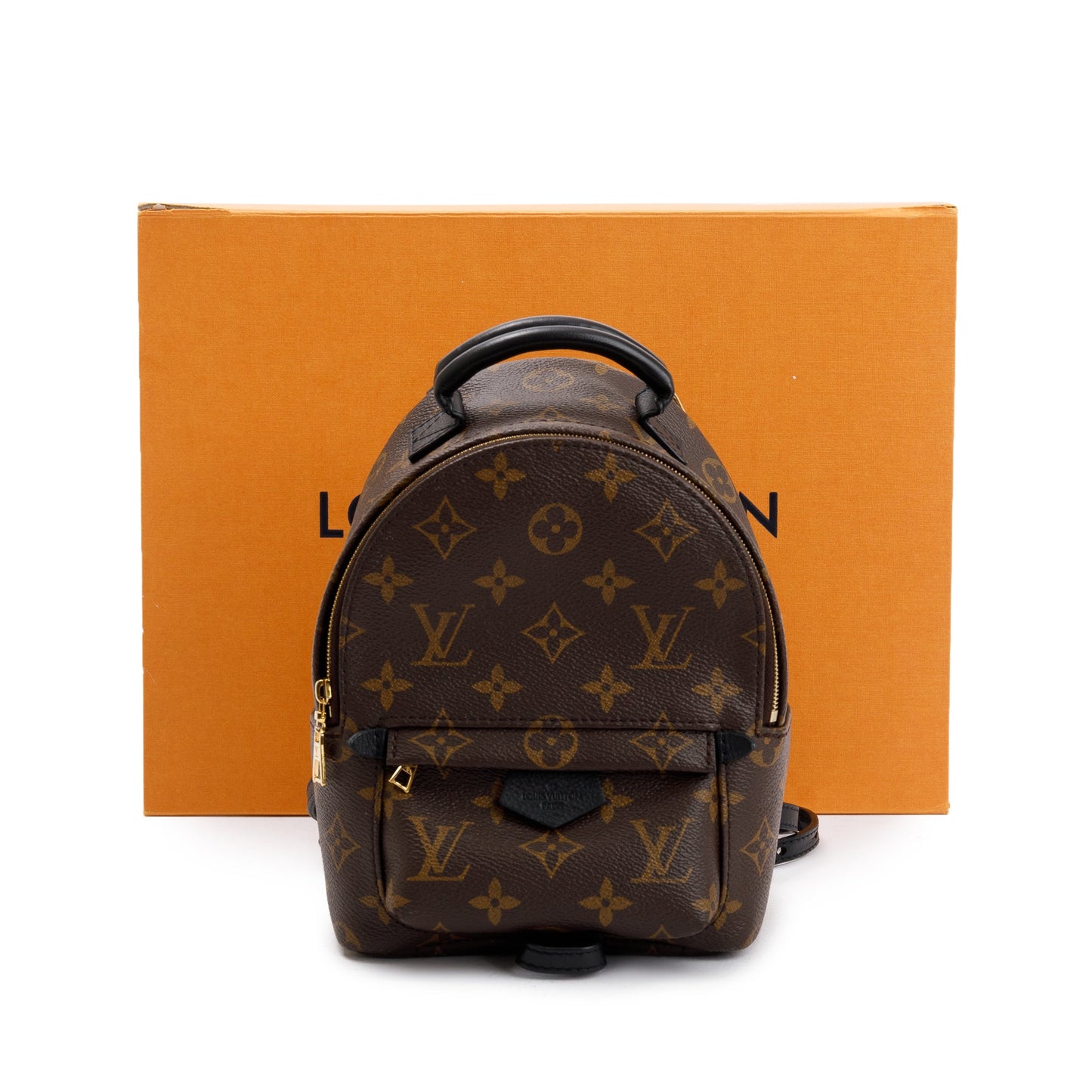 Louis Vuitton 2020 Monogram Palm Springs Mini Backpack