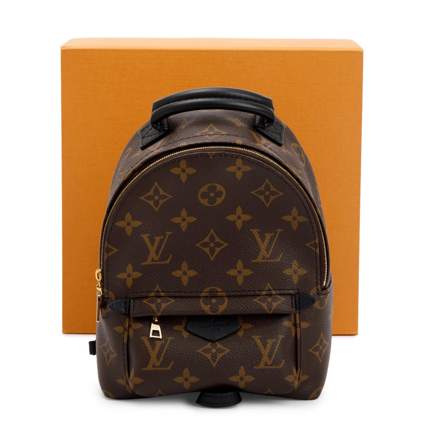 Louis Vuitton 2020 Monogram Palm Springs Mini Backpack