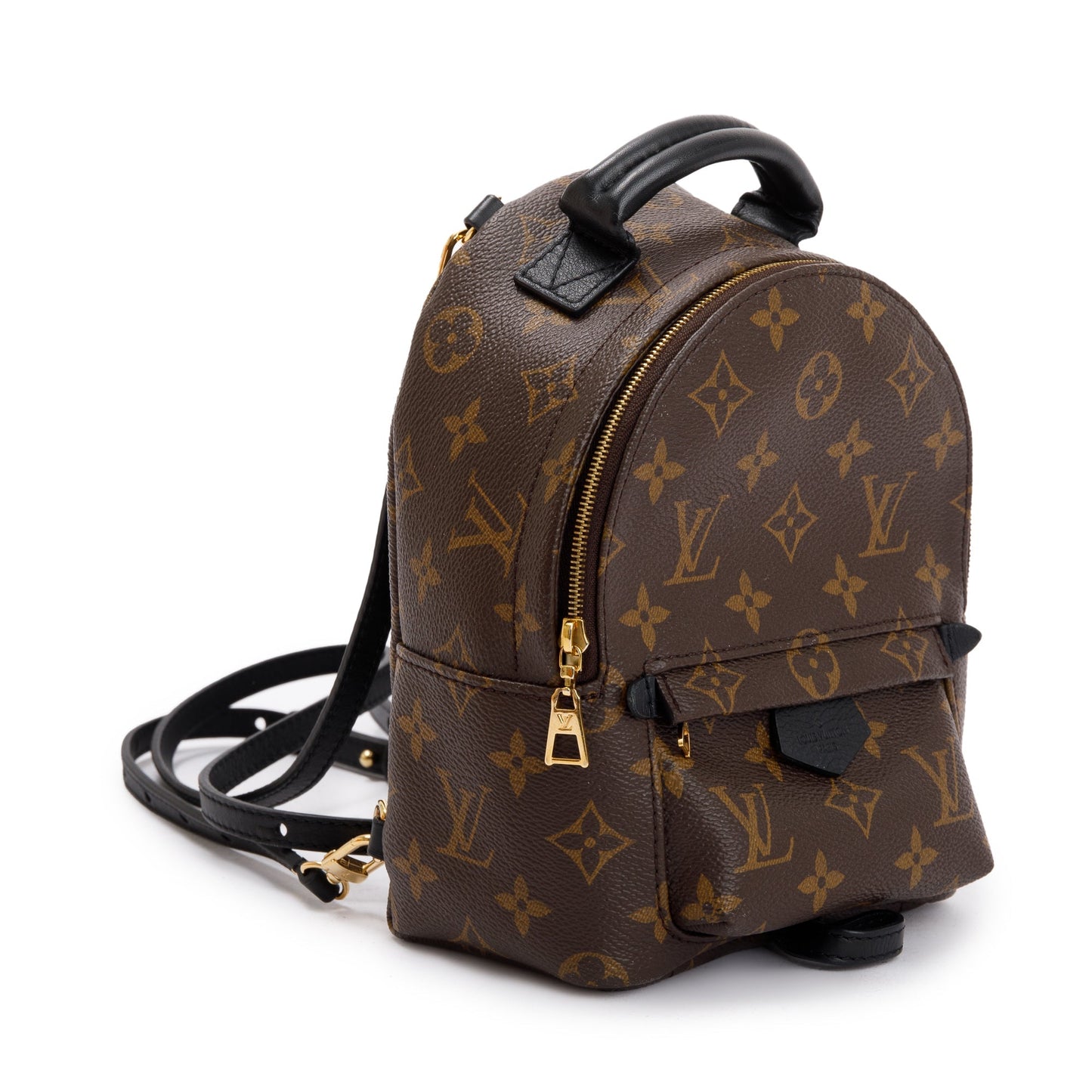 Louis Vuitton 2020 Monogram Palm Springs Mini Backpack