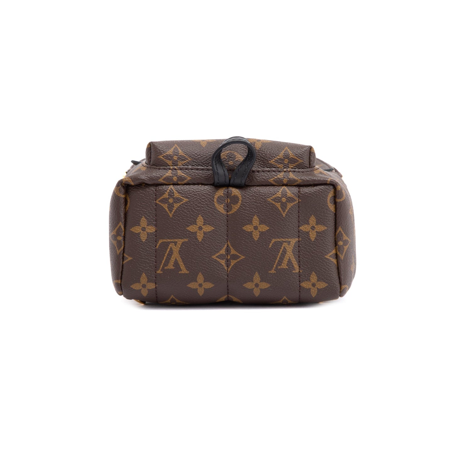 Louis Vuitton 2020 Monogram Palm Springs Mini Backpack