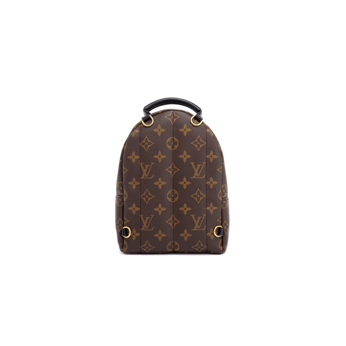 Louis Vuitton 2020 Monogram Palm Springs Mini Backpack