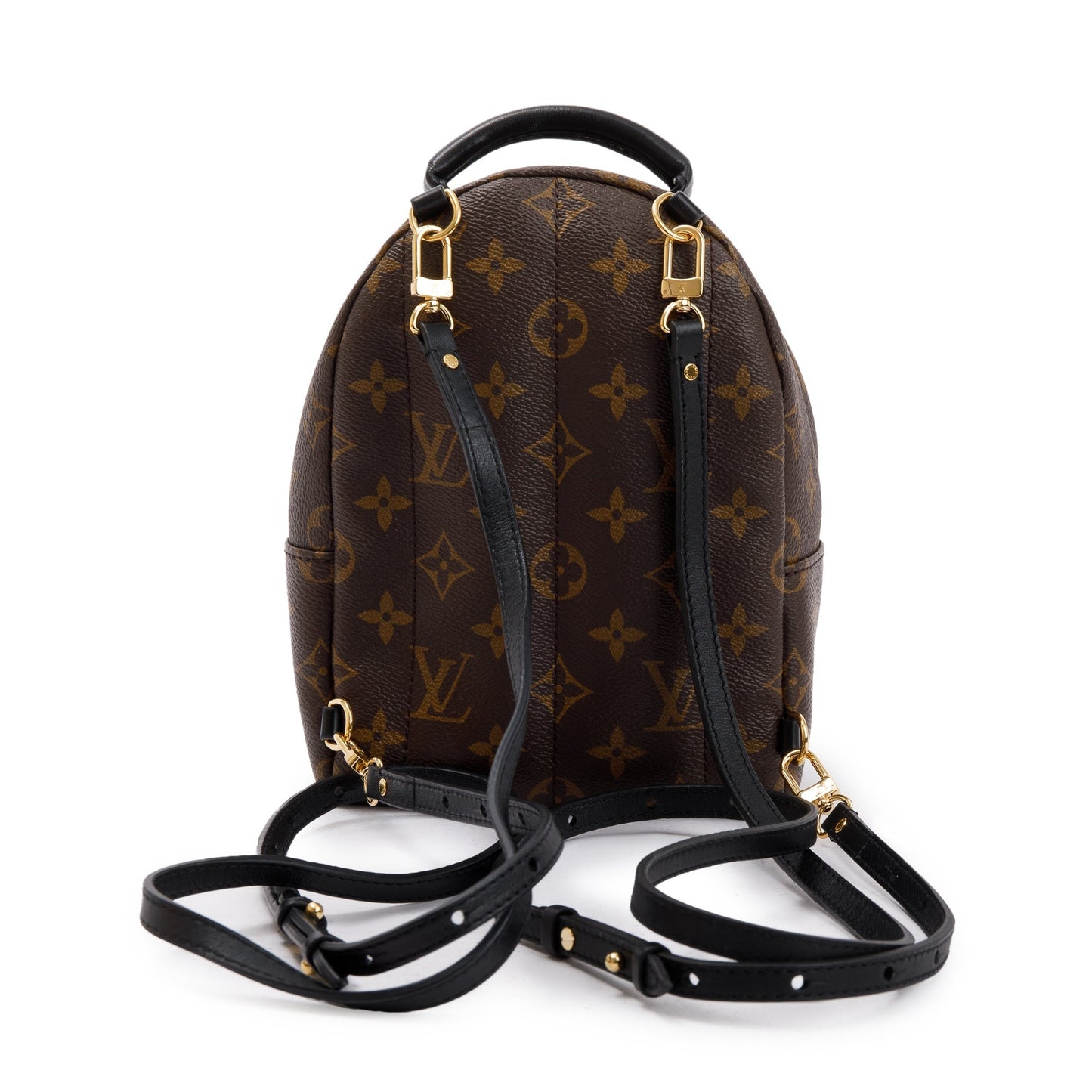 Louis Vuitton 2020 Monogram Palm Springs Mini Backpack