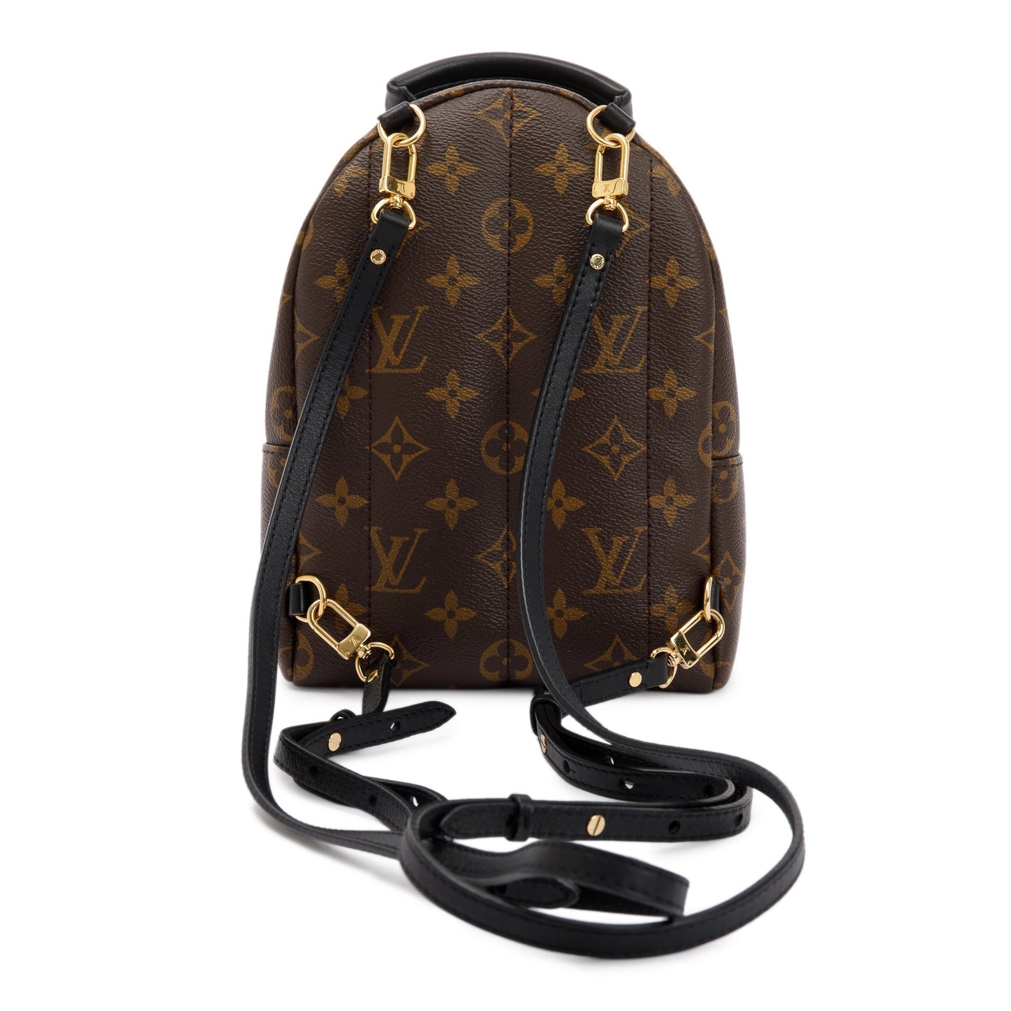 Louis Vuitton 2020 Monogram Palm Springs Mini Backpack