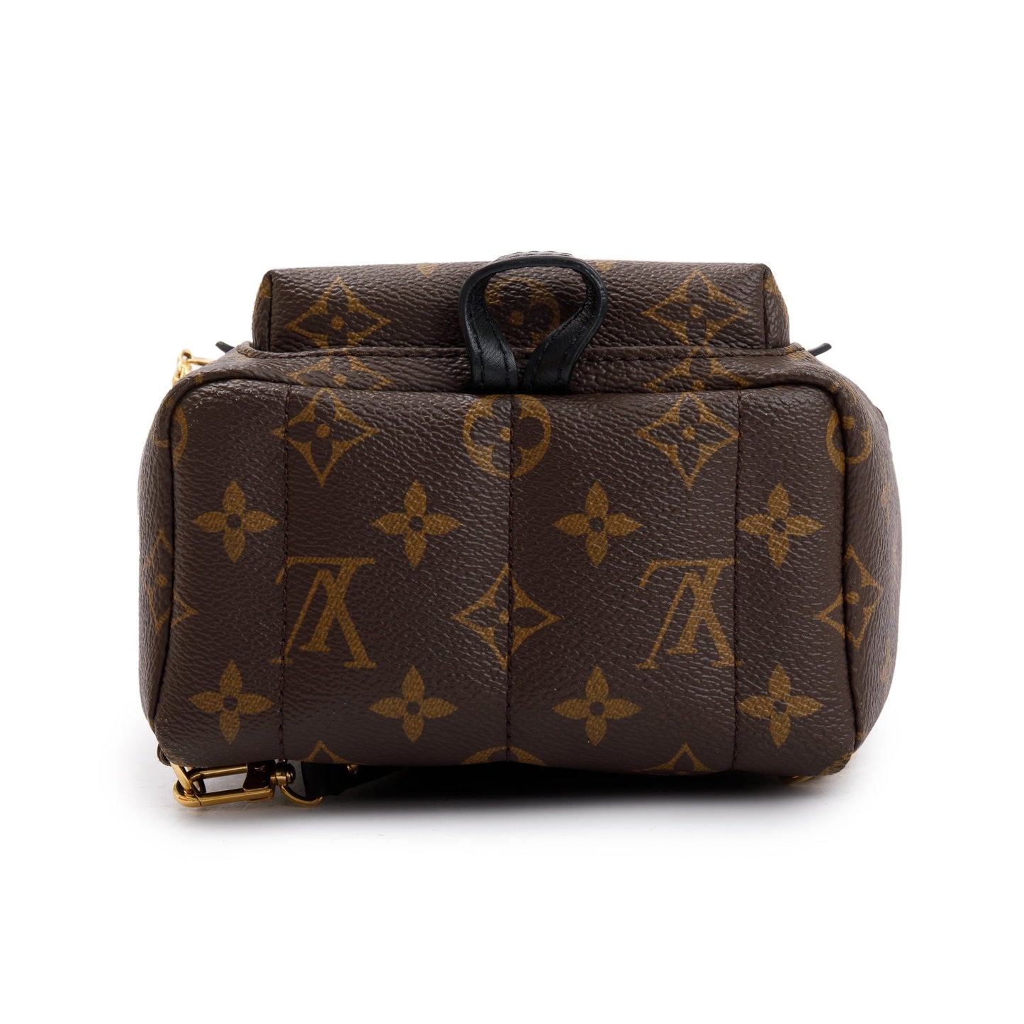 Louis Vuitton 2020 Monogram Palm Springs Mini Backpack