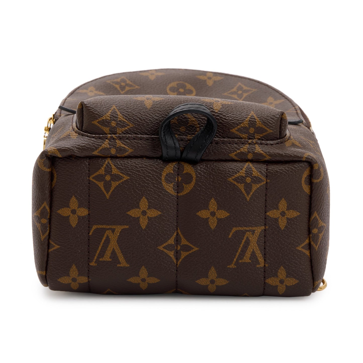 Louis Vuitton 2020 Monogram Palm Springs Mini Backpack